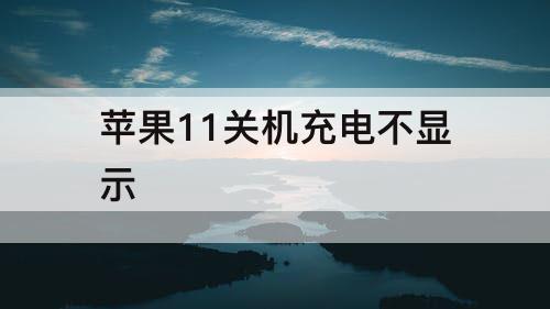 苹果11关机充电不显示