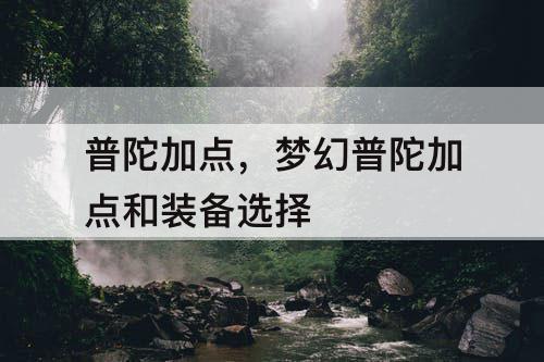 普陀加点，梦幻普陀加点和装备选择