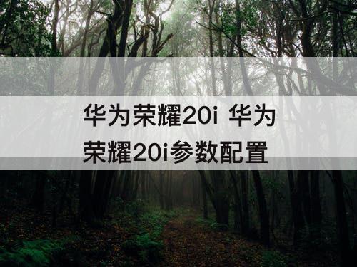 华为荣耀20i  华为荣耀20i参数配置