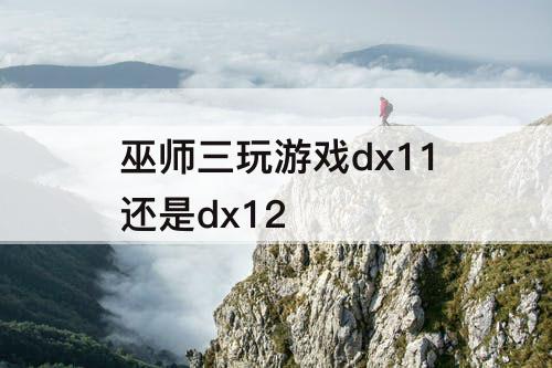 巫师三玩游戏dx11还是dx12