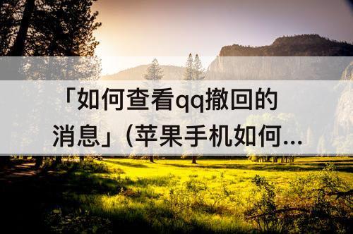 「如何查看qq撤回的消息」(苹果手机如何查看qq撤回的消息)