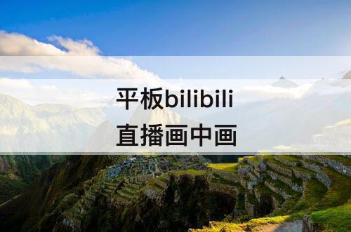 平板bilibili直播画中画