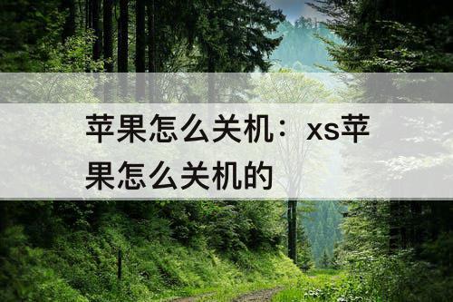 苹果怎么关机：xs苹果怎么关机的