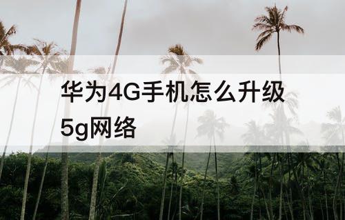 华为4G手机怎么升级5g网络