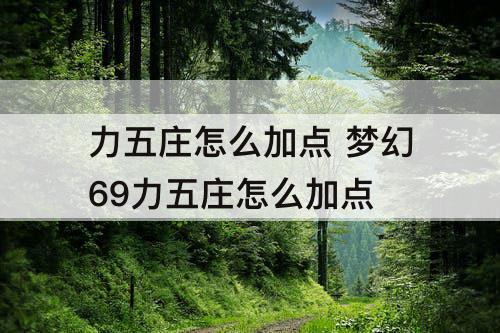 力五庄怎么加点 梦幻69力五庄怎么加点