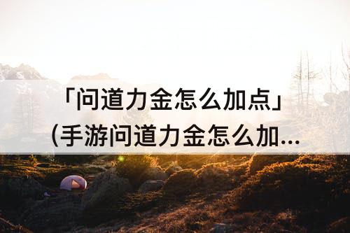 「问道力金怎么加点」(手游问道力金怎么加点好)