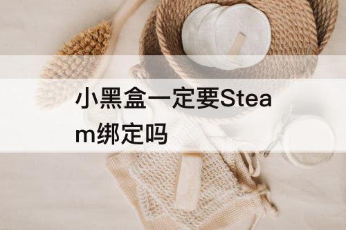 小黑盒一定要Steam绑定吗