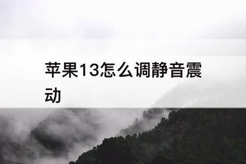 苹果13怎么调静音震动