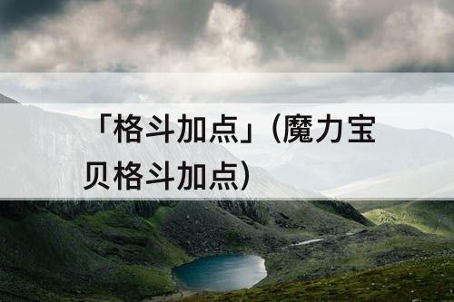 「格斗加点」(魔力宝贝格斗加点)