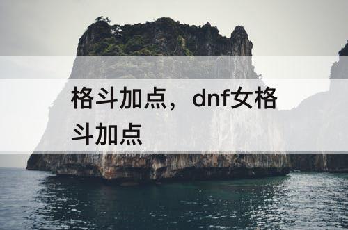 格斗加点，dnf女格斗加点