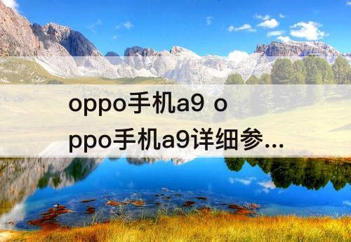 oppo手机a9 oppo手机a9详细参数