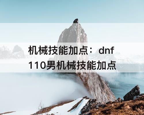 机械技能加点：dnf110男机械技能加点