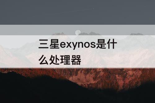 三星exynos是什么处理器