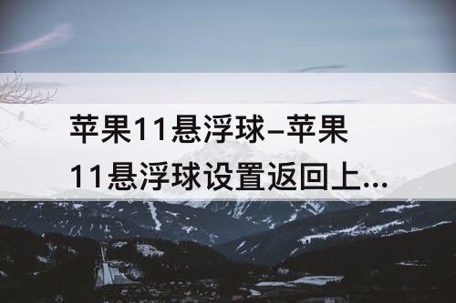 苹果11悬浮球-苹果11悬浮球设置返回上一层