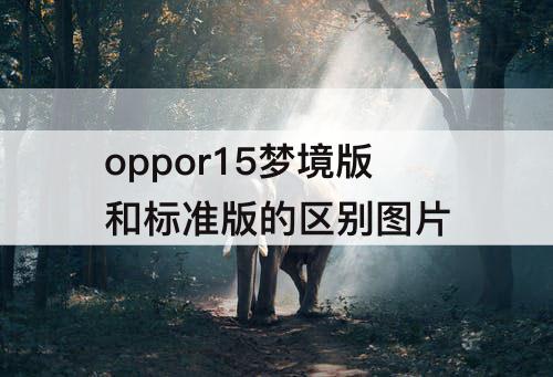 oppor15梦境版和标准版的区别图片