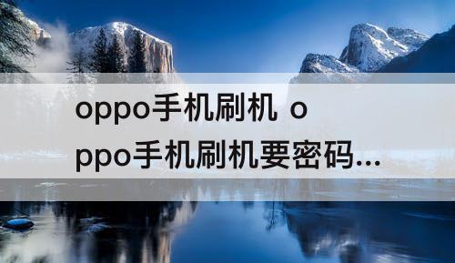 oppo手机刷机 oppo手机刷机要密码怎么刷