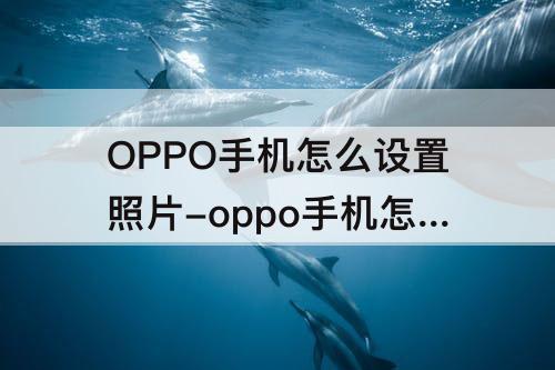 OPPO手机怎么设置照片-oppo手机怎么设置照片壁纸全屏