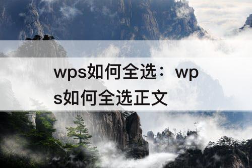 wps如何全选：wps如何全选正文