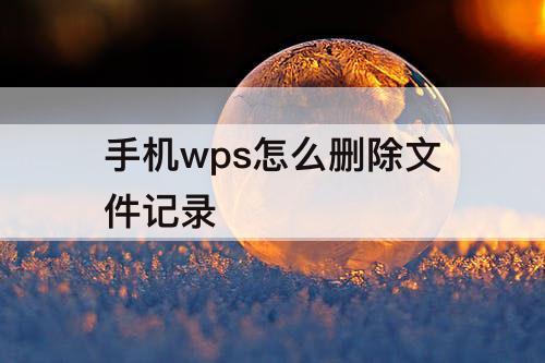 手机wps怎么删除文件记录