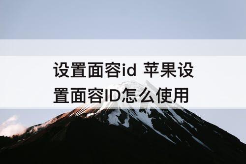 设置面容id  苹果设置面容ID怎么使用