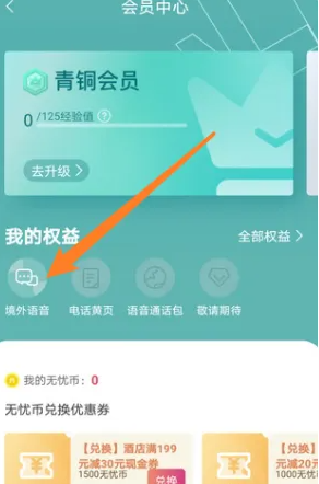 《无忧行》使用境外语音方法