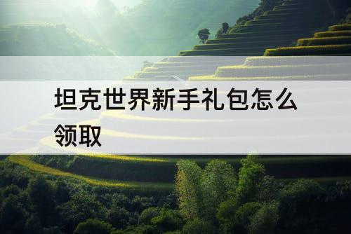 坦克世界新手礼包怎么领取