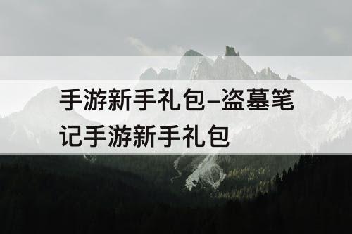 手游新手礼包-盗墓笔记手游新手礼包