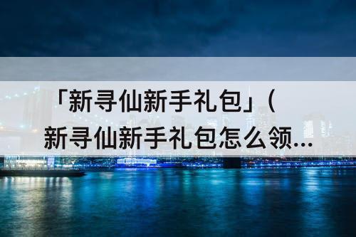 「新寻仙新手礼包」(新寻仙新手礼包怎么领取不了)