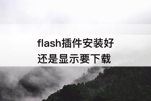 flash插件安装好还是显示要下载