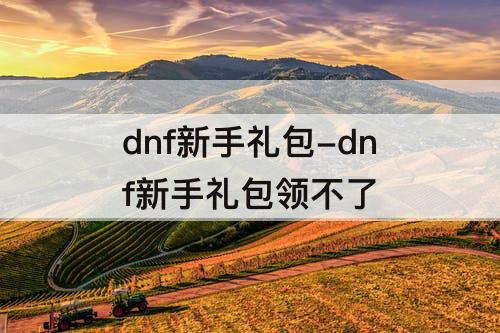 dnf新手礼包-dnf新手礼包领不了