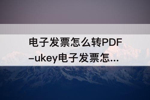 电子发票怎么转PDF-ukey电子发票怎么转pdf