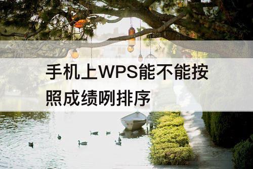 手机上WPS能不能按照成绩咧排序