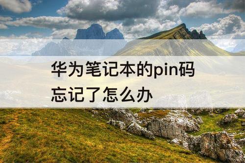 华为笔记本的pin码忘记了怎么办