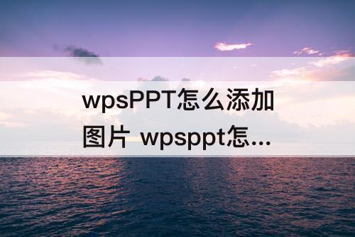 wpsPPT怎么添加图片 wpsppt怎么添加图片文本框