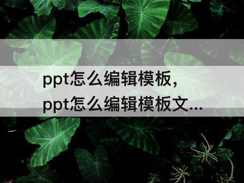 ppt怎么编辑模板，ppt怎么编辑模板文字