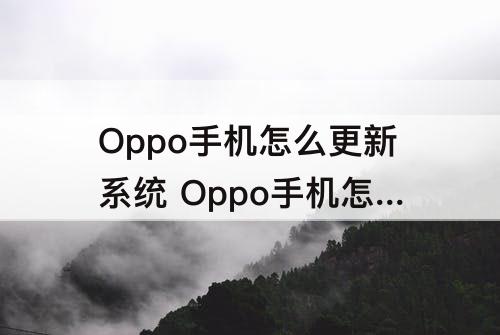 Oppo手机怎么更新系统 Oppo手机怎么更新系统？