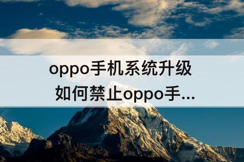 oppo手机系统升级 如何禁止oppo手机系统升级