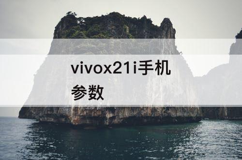 vivox21i手机参数