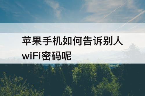 苹果手机如何告诉别人wiFi密码呢