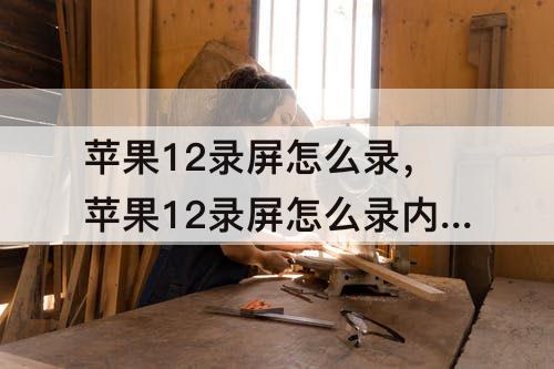 苹果12录屏怎么录，苹果12录屏怎么录内部声音