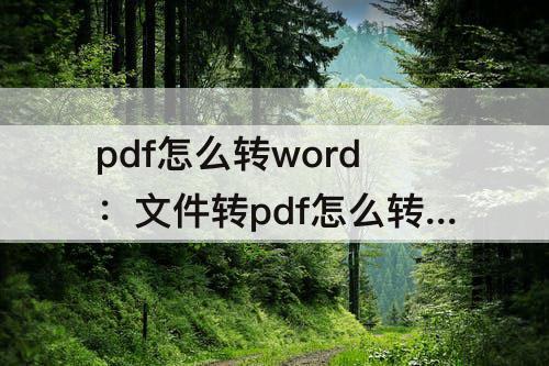 pdf怎么转word：文件转pdf怎么转word