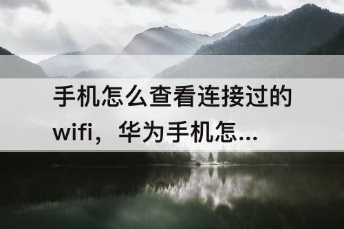 手机怎么查看连接过的wifi，华为手机怎么查看连接过的wifi