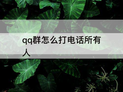 qq群怎么打电话所有人