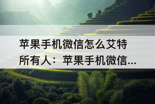 苹果手机微信怎么艾特所有人：苹果手机微信怎么艾特所有人？