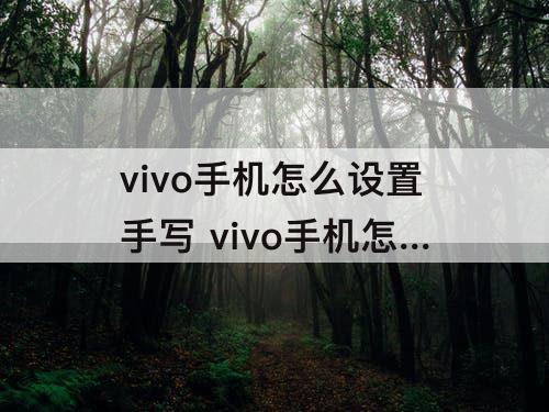 vivo手机怎么设置手写 vivo手机怎么设置手写全屏