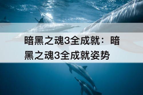 暗黑之魂3全成就：暗黑之魂3全成就姿势