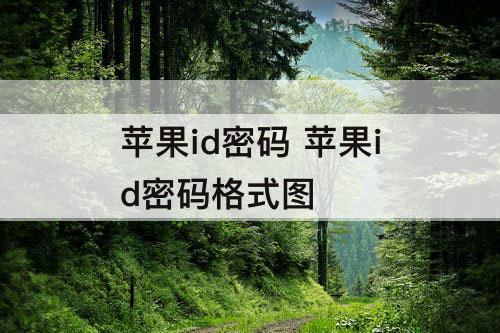 苹果id密码 苹果id密码格式图