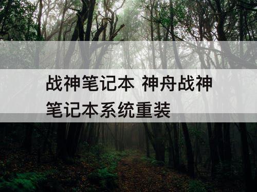 战神笔记本 神舟战神笔记本系统重装