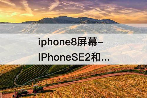 iphone8屏幕-iPhoneSE2和iPhone8屏幕一样吗