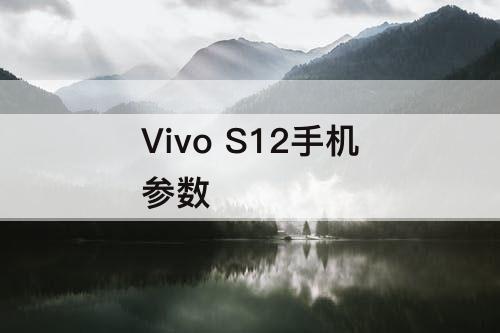 Vivo  S12手机参数